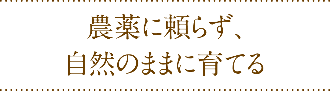 農薬に頼らず自然のままに育てる