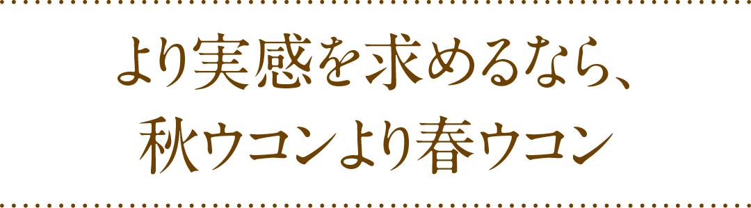 より実感を求めるなら、秋ウコンより春ウコン
