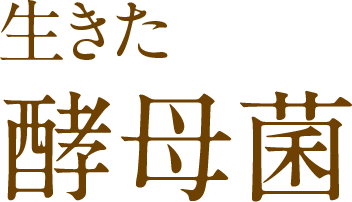 生きた酵母菌