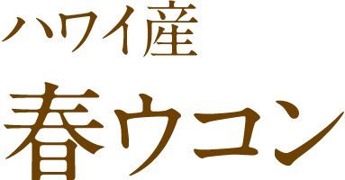 ハワイ産春ウコン