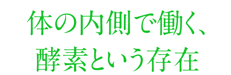 体の内側で働く、酵素という存在